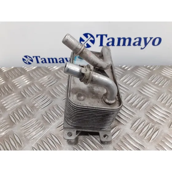 Enfriador Aceite Direccion para Bmw Serie 7 (E65/E66)