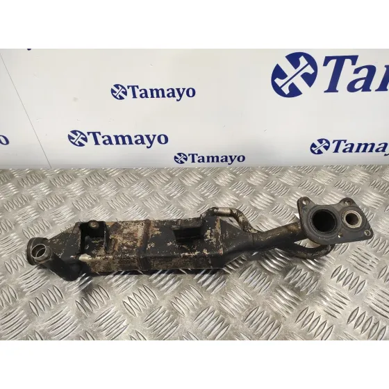Enfriador Gases para Mercedes-Benz Clase M (W164)