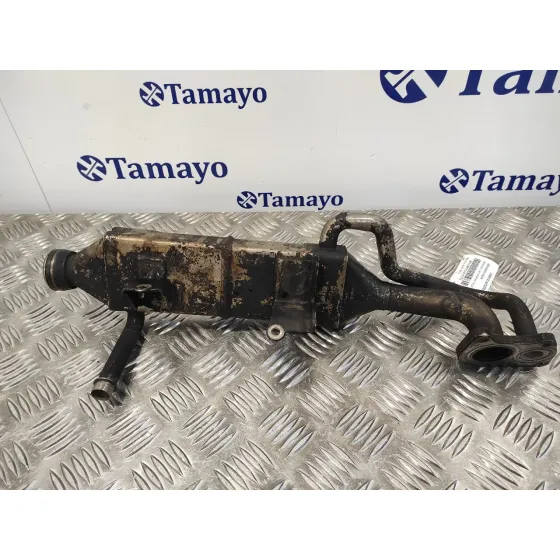 Enfriador Gases para Mercedes-Benz Clase M (W164)