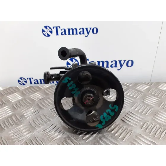 Bomba Direccion para Hyundai Santa Fe (Bm)