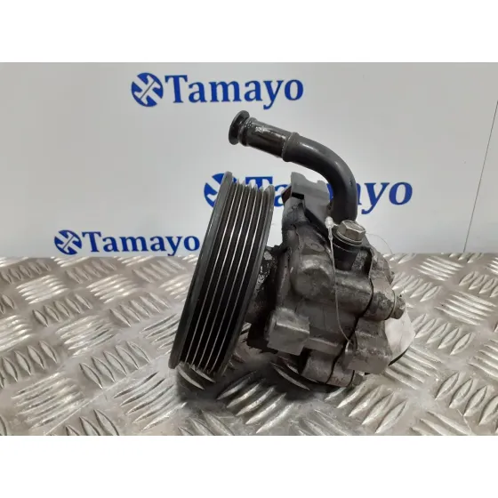 Bomba Direccion para Hyundai Santa Fe (Bm)