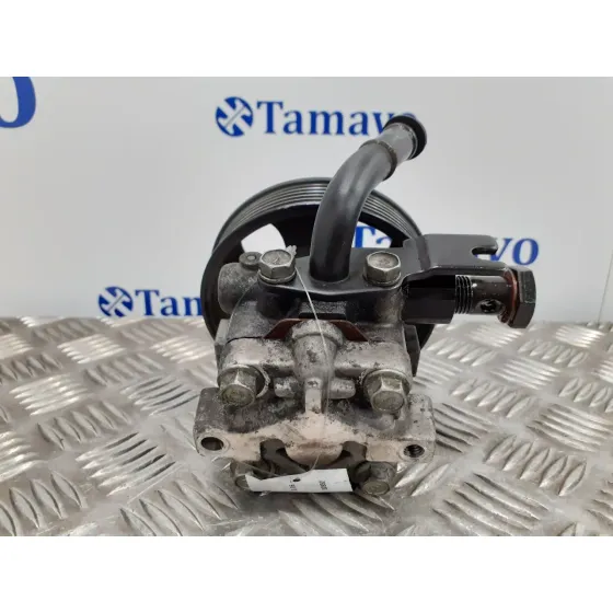 Bomba Direccion para Hyundai Santa Fe (Bm)