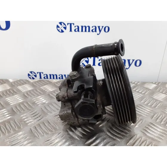 Bomba Direccion para Hyundai Santa Fe (Bm)