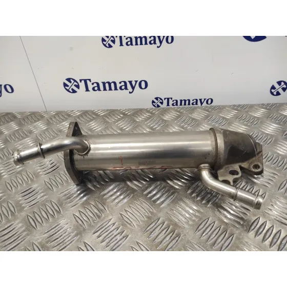 Enfriador Egr para Ford Transit Combi '06