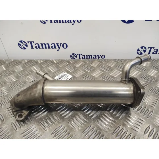 Enfriador Egr para Ford Transit Combi '06
