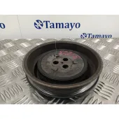 Polea Ciguenal para Ford Transit Combi '06