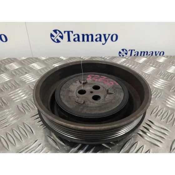 Polea Ciguenal para Ford Transit Combi '06