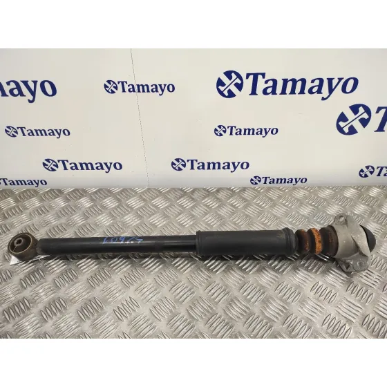 Amortiguador Trasero Derecho para Seat Ibiza (6J5)