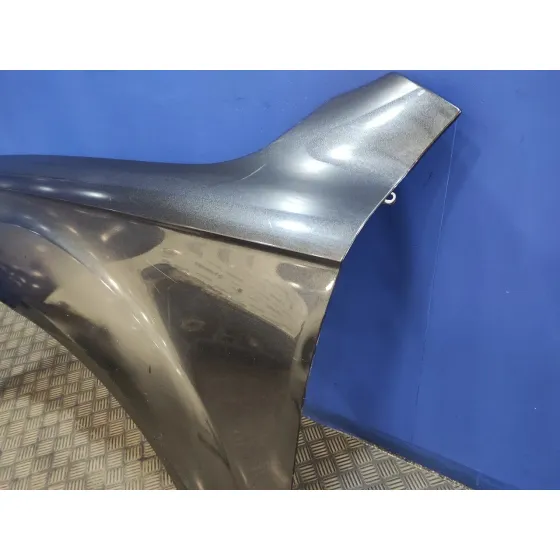 Aleta Delantera Izquierda para Audi Q7 (4L)