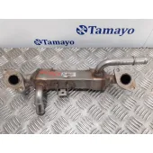 Enfriador Egr para Seat Alhambra (7V9)
