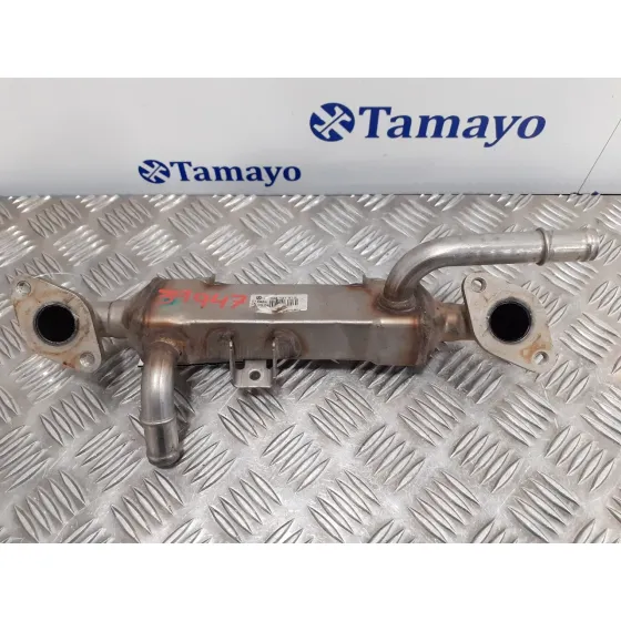 Enfriador Egr para Seat Alhambra (7V9)