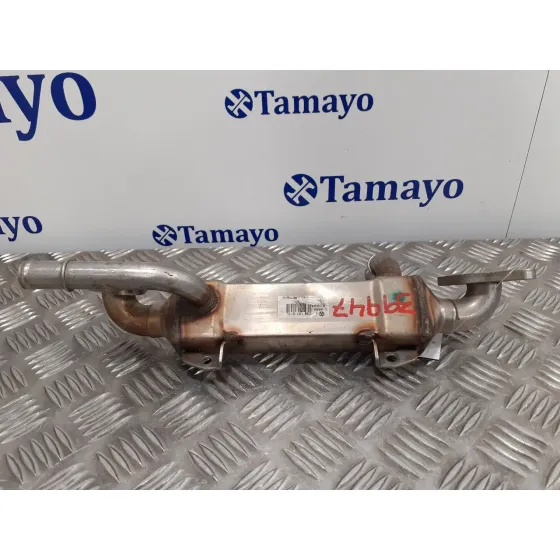 Enfriador Egr para Seat Alhambra (7V9)