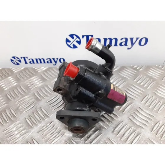 Bomba Direccion para Fiat Doblo (119)