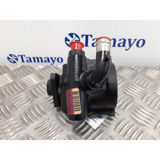 Bomba Direccion para Fiat Doblo (119)