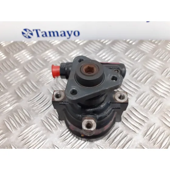 Bomba Direccion para Fiat Doblo (119)