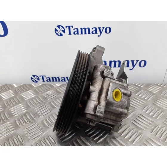 Bomba Direccion para Bmw Serie 5 Berlina (E39)