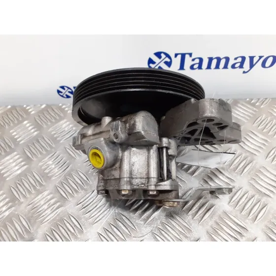 Bomba Direccion para Bmw Serie 5 Berlina (E39)