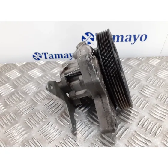 Bomba Direccion para Bmw Serie 5 Berlina (E39)