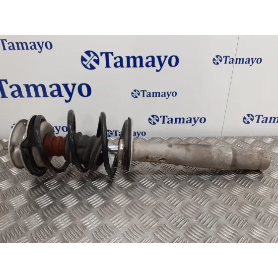 Amortiguador Delantero Derecho para Bmw Serie 5 Berlina (E60)