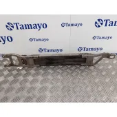 Enfriador Aceite Direccion para Mercedes-Benz Clase B (W245)