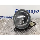 Faro Antiniebla Izquierdo para Bmw Mini (R50,R53)