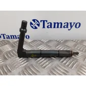 Inyector para Nissan Almera (N16/E)