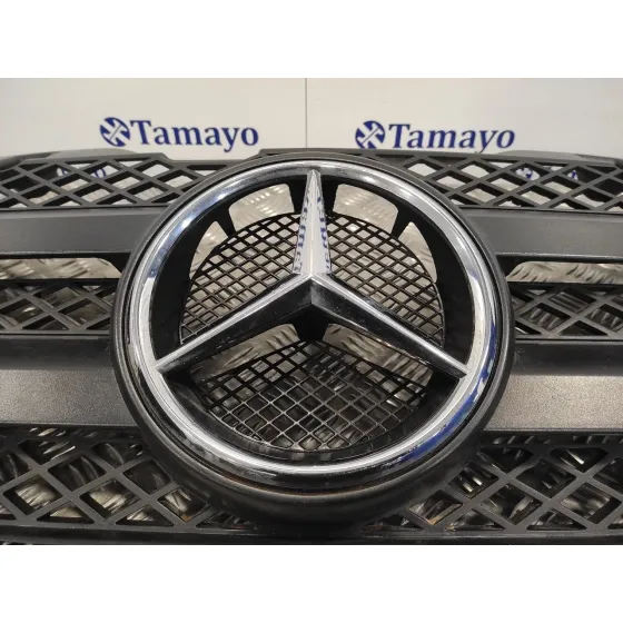 Rejilla Delantera para Mercedes-Benz Sprinter 5-T Caja/Chasis (B906)