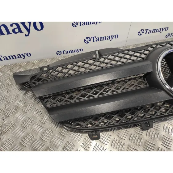 Rejilla Delantera para Mercedes-Benz Sprinter 5-T Caja/Chasis (B906)