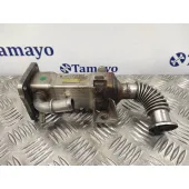 Enfriador Egr para Renault Scenic Ii
