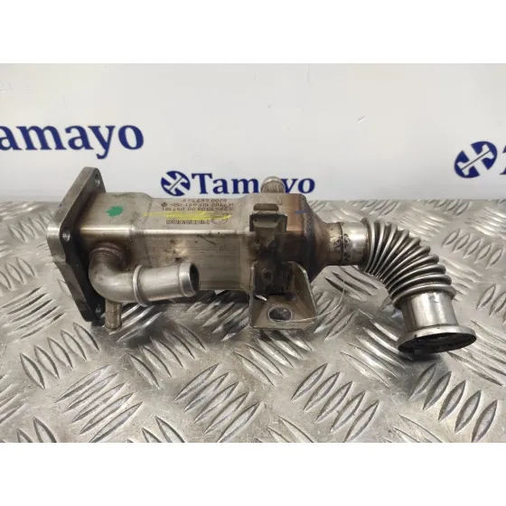 Enfriador Egr para Renault Scenic Ii