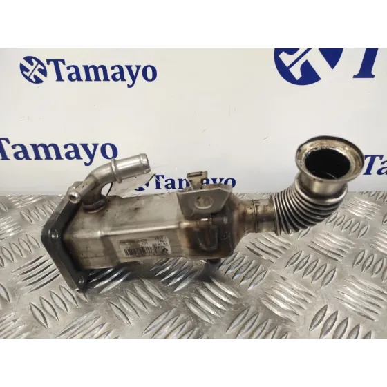 Enfriador Egr para Renault Scenic Ii