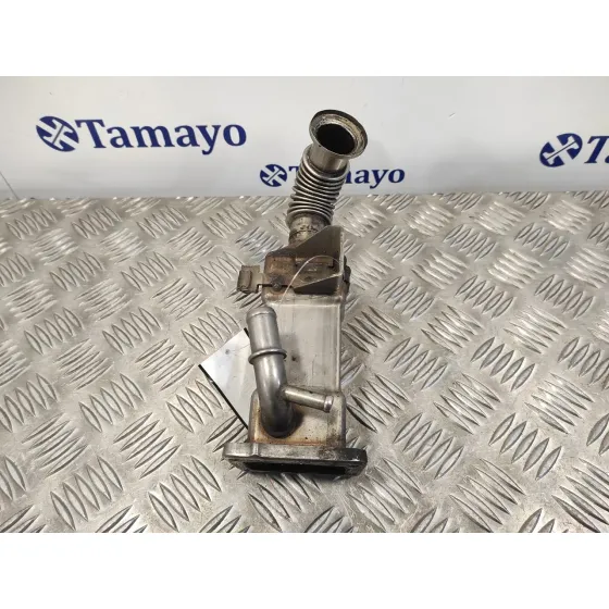 Enfriador Egr para Renault Scenic Ii