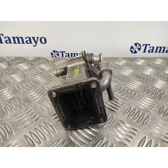 Enfriador Egr para Renault Scenic Ii