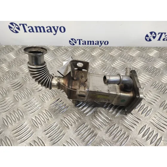 Enfriador Egr para Renault Scenic Ii