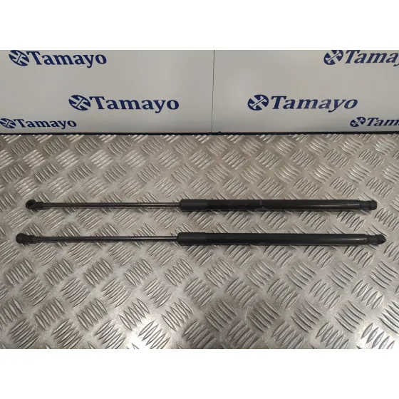 Amortiguadores Maletero / Porton para Toyota Aygo