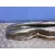 Refuerzo Paragolpes Trasero para Bmw X5 (E53)