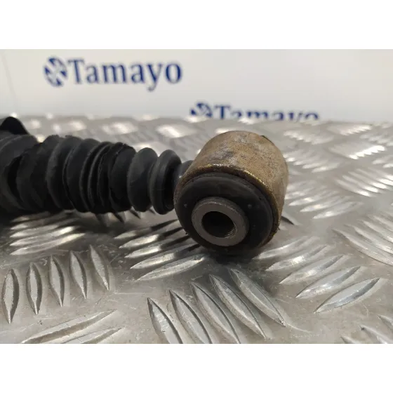 Amortiguador Trasero Derecho para Peugeot Expert Kasten
