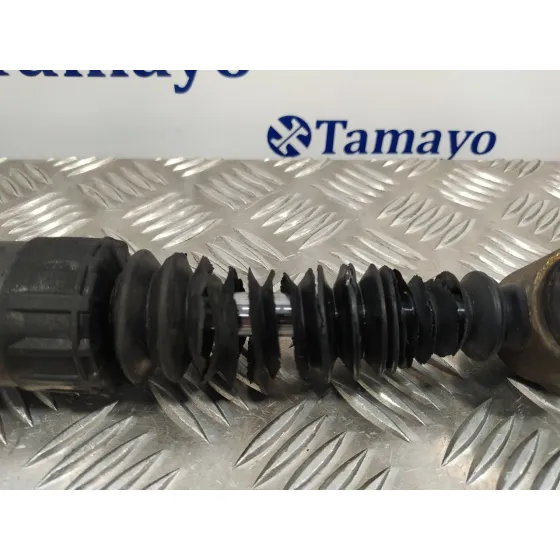 Amortiguador Trasero Izquierdo para Peugeot Expert Kasten