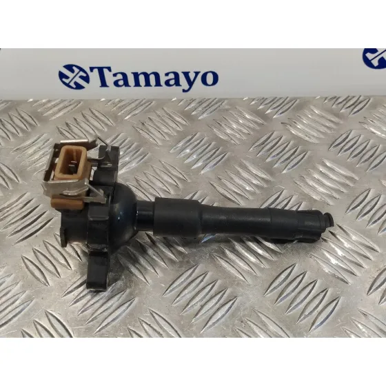 Bobina Encendido para Bmw Serie 3 Coupe (E46)
