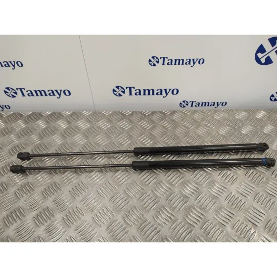 Amortiguadores Maletero / Porton para Opel Corsa D