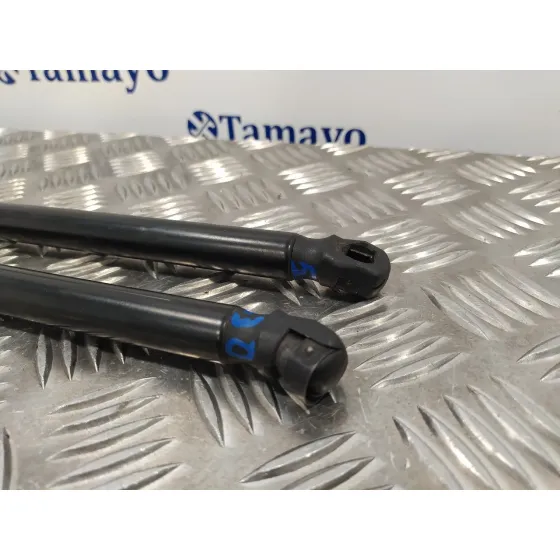 Amortiguadores Maletero / Porton para Opel Corsa D
