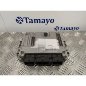 Centralita Motor Uce para Peugeot 307 Berlina (S2)