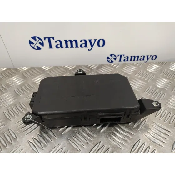Modulo Electronico para Lancia Ypsilon (101)