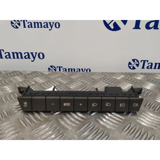Mando Multifuncion para Lancia Ypsilon (101)