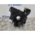 Anillo Airbag para Ford Fiesta (Cbk)