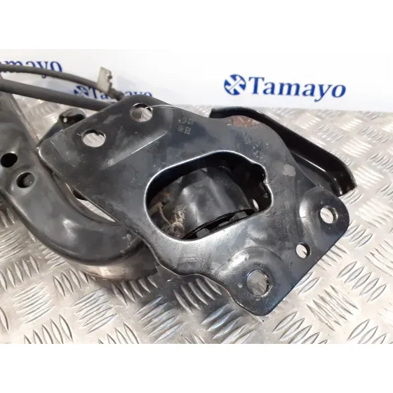 Mangueta Trasera Derecha para Nissan Qashqai (J10)