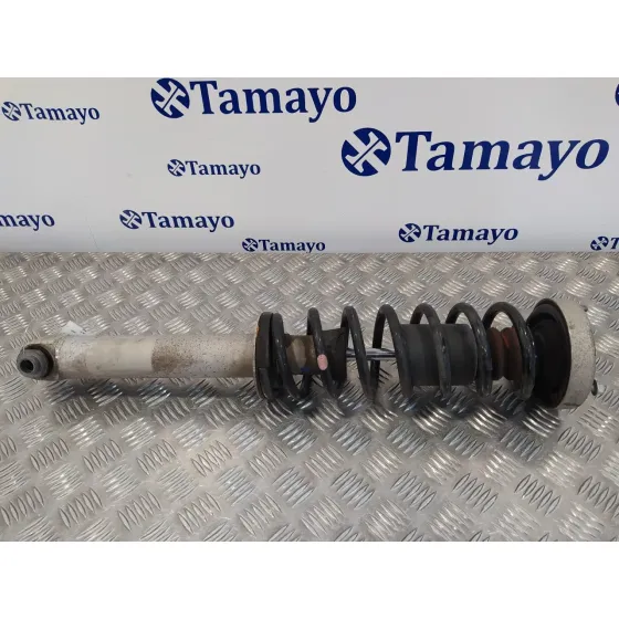 Amortiguador Trasero Izquierdo para Bmw Serie 5 Berlina (E60)