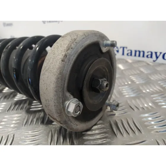 Amortiguador Trasero Izquierdo para Bmw Serie 5 Berlina (E60)