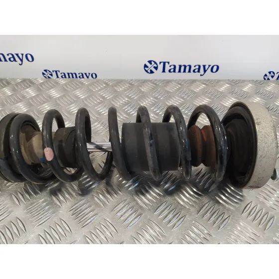 Amortiguador Trasero Izquierdo para Bmw Serie 5 Berlina (E60)