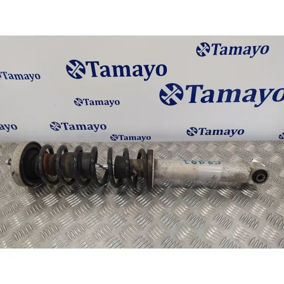 Amortiguador Trasero Derecho para Bmw Serie 5 Berlina (E60)